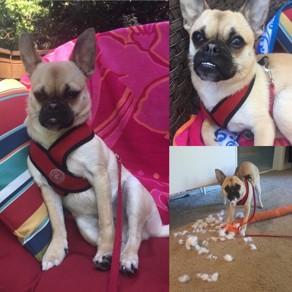 Meet your Posher, Lisa - Picture 10 of 10